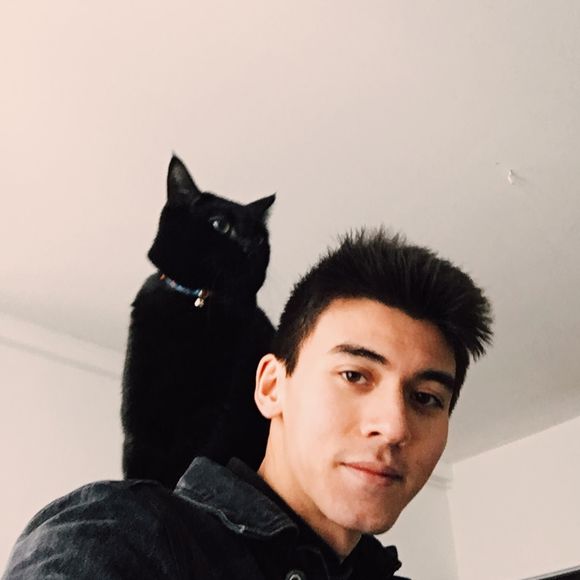 ryanschamma